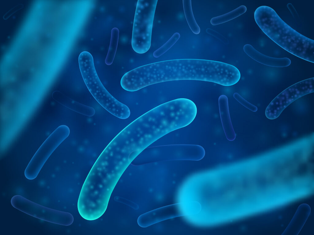 Probiotiques