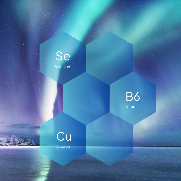 Vitamine B6 - Cuivre et Selenium